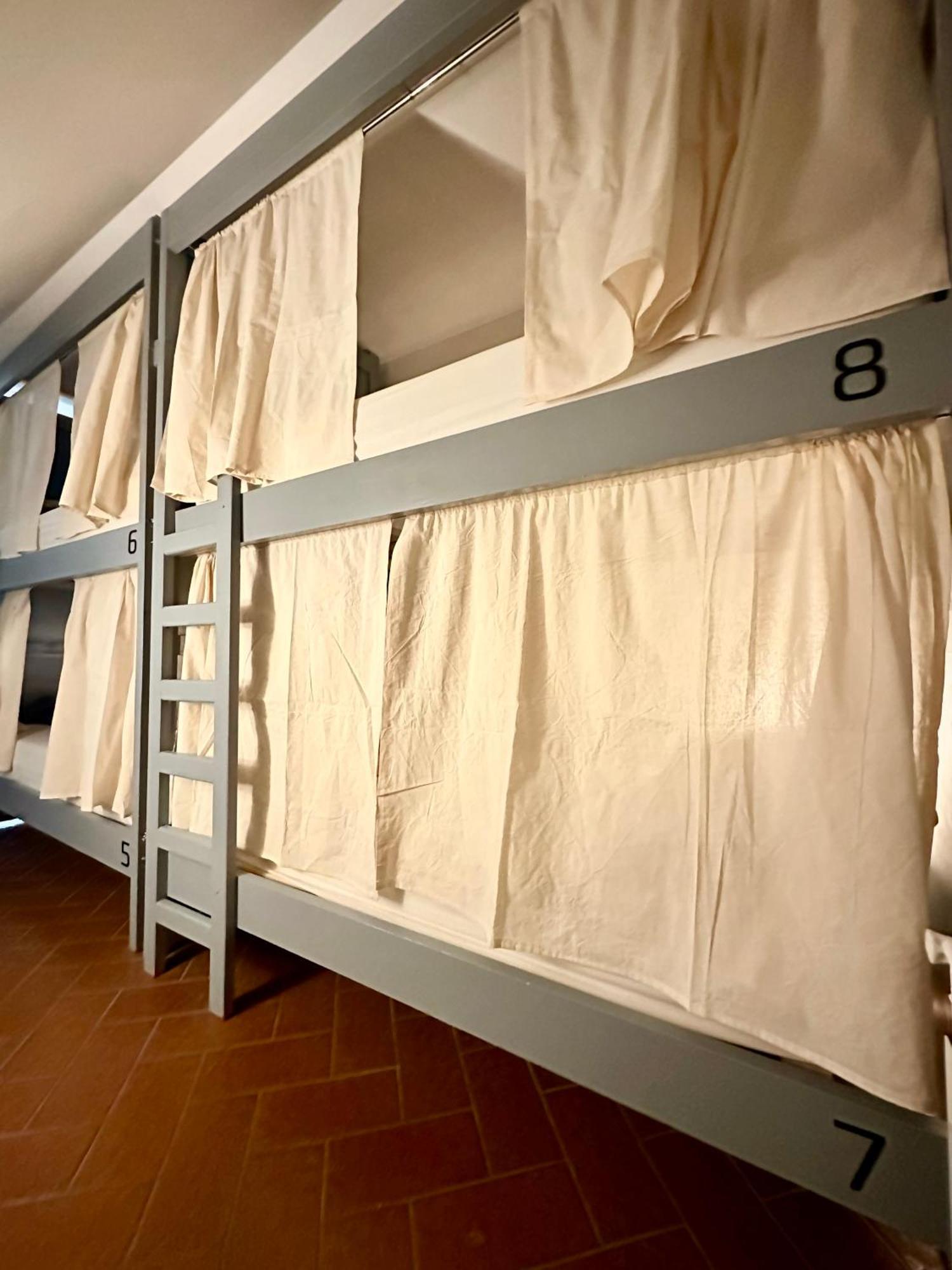 Gorilla Hostel
